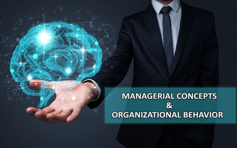 AUCDE Course categories